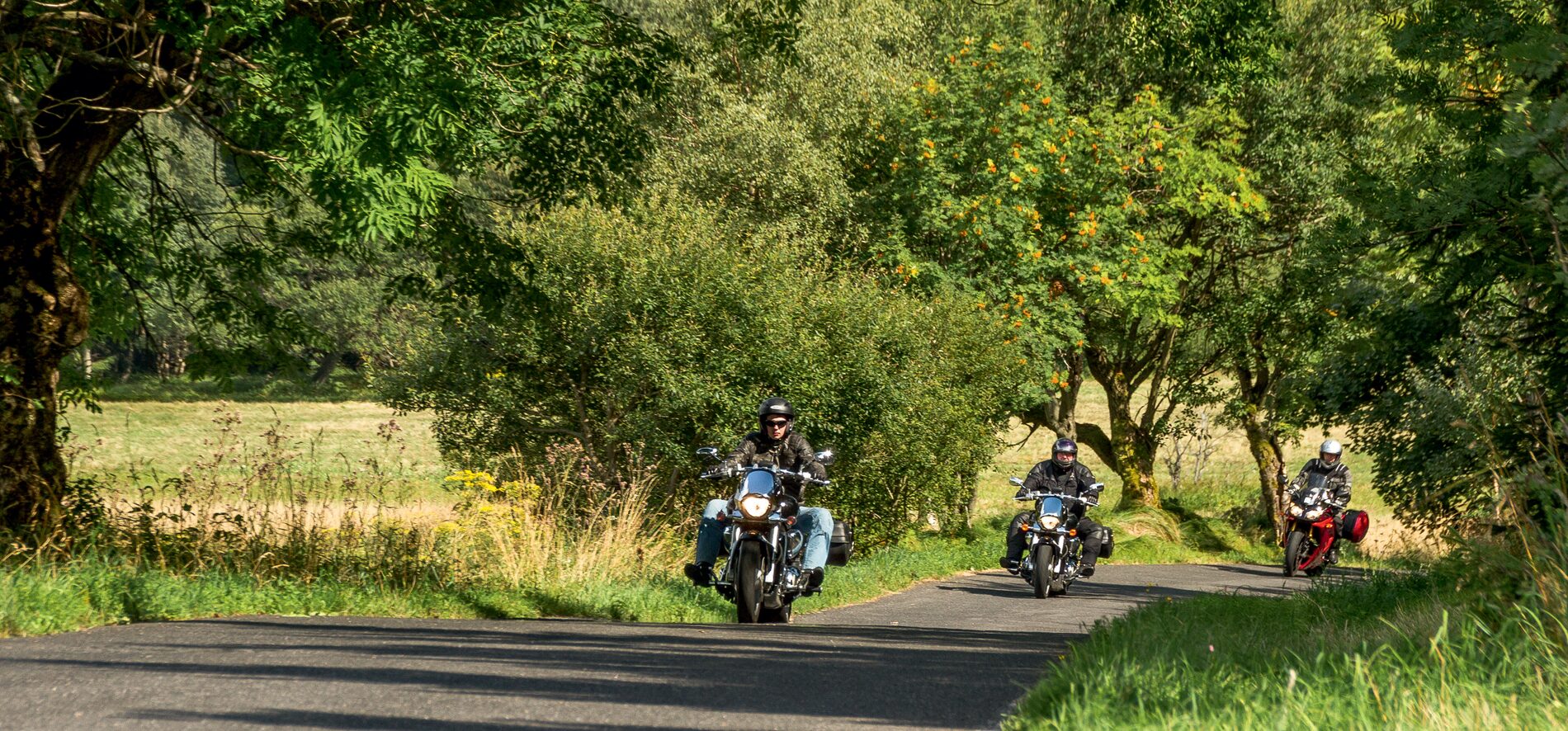 Drei Motorräder hintereinander auf einer schmalen Straße unter Bäumen