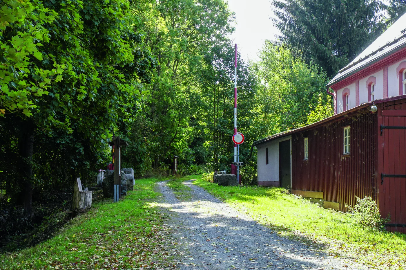 Waldweg mit rotem Holzgebäude bei Rittersgrün