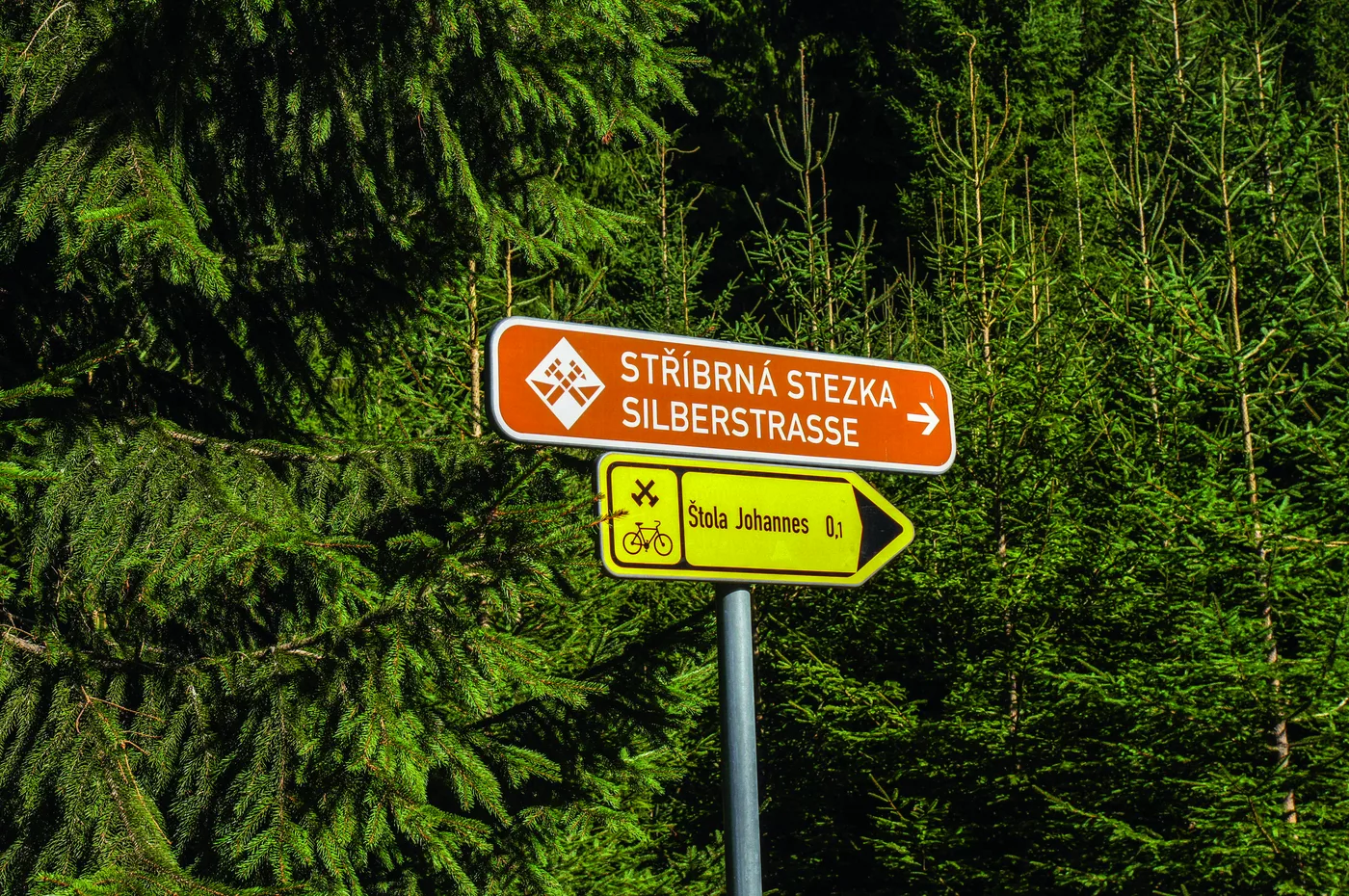 Wegweiser Stříbrná stezka und Silberstraße am Waldrand